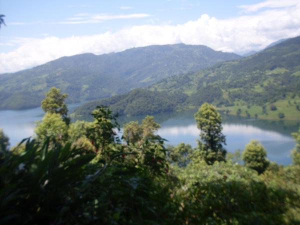 Dinesh House : photo 10 de la chambre chambre double deluxe