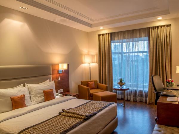 Howard Plaza The Fern, Agra : photo 3 de la chambre fern club room