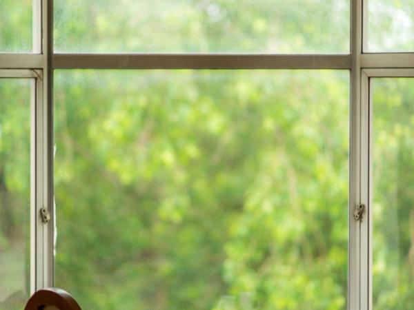 Howard Plaza The Fern, Agra : photo 1 de la chambre suite noisette