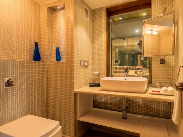 Howard Plaza The Fern, Agra : photo 2 de la chambre suite noisette