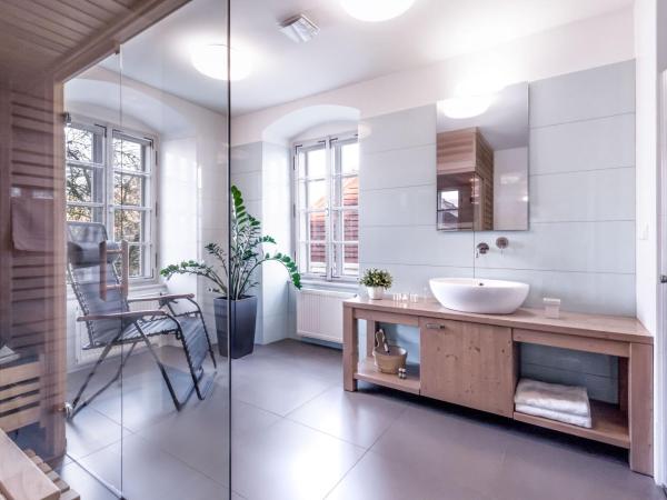 Pension Athanor : photo 5 de la chambre appartement avec sauna