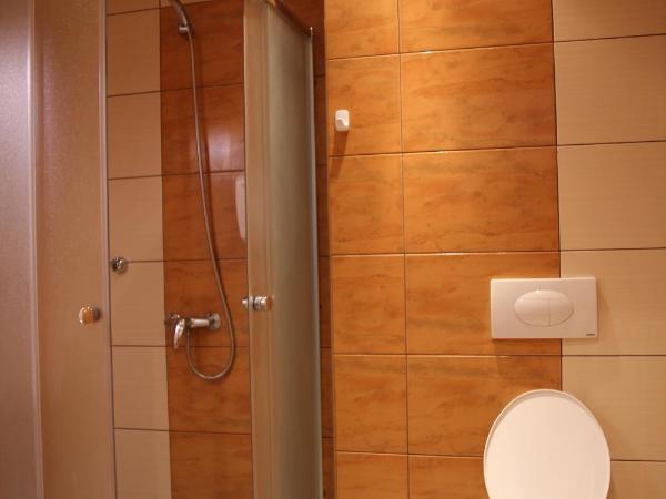 Karczma pod Młynem : photo 4 de la chambre chambre double