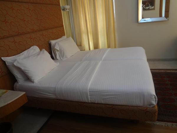 Astoria Hotel : photo 8 de la chambre executive room