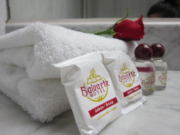 Hotel Baluarte : photo 8 de la chambre chambre standard avec un lit double