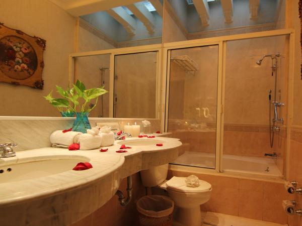 Hotel Boutique La Mision De Fray Diego : photo 4 de la chambre suite junior avec 1 lit king-size et baignoire spa - vue sur jardin