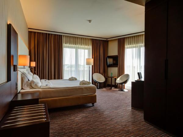 Copernicus Toruń Hotel : photo 3 de la chambre chambre deluxe double ou lits jumeaux