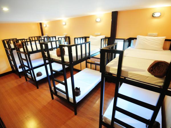 Twin Palms Hostel Phi Phi : photo 5 de la chambre lit dans dortoir pour hommes