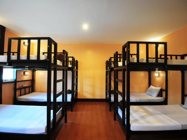 Twin Palms Hostel Phi Phi : photo 9 de la chambre lit dans dortoir pour hommes