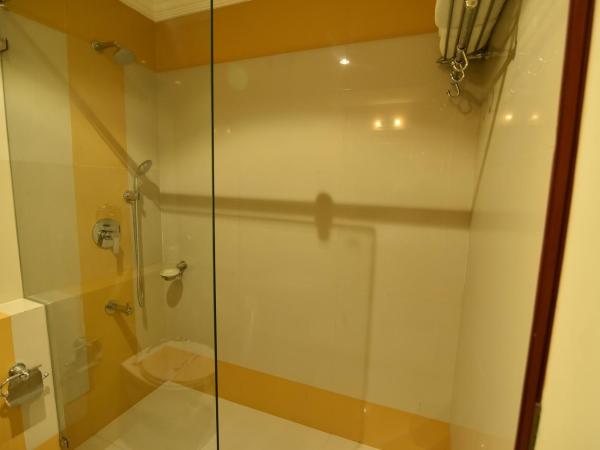 Hotel Niky International : photo 10 de la chambre chambre double deluxe