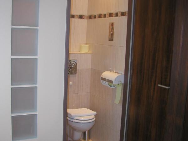 Roxane Panzio : photo 8 de la chambre chambre double - mansardée