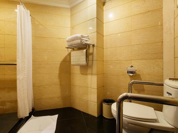 Grand Royal Hotel : photo 4 de la chambre chambre affaires lit queen-size