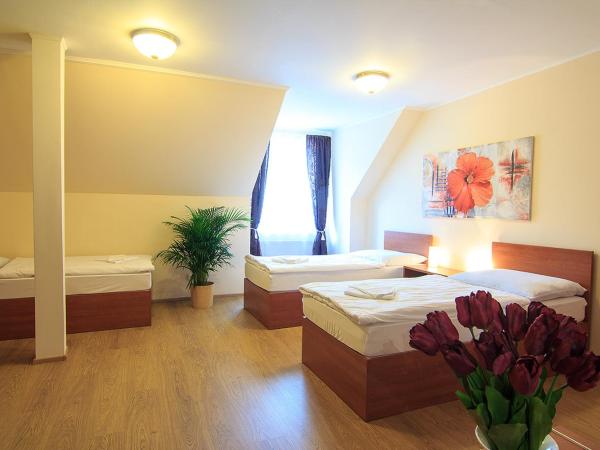 Penzion U Čejpu : photo 3 de la chambre chambre triple avec douche