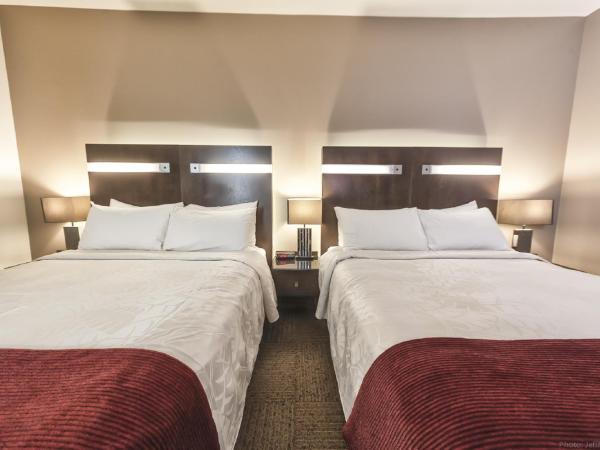 Hôtel Sainte-Anne : photo 3 de la chambre chambre standard avec 2 lits queen-size