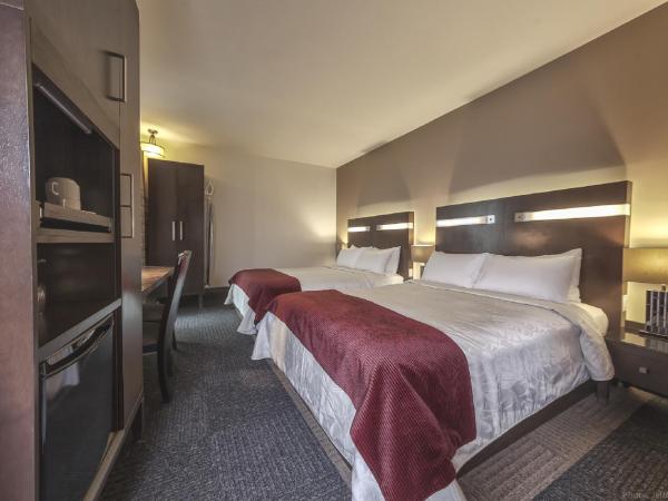 Hôtel Sainte-Anne : photo 4 de la chambre chambre standard avec 2 lits queen-size