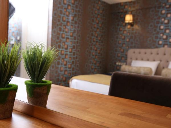 Kuzen Otel : photo 5 de la chambre chambre double