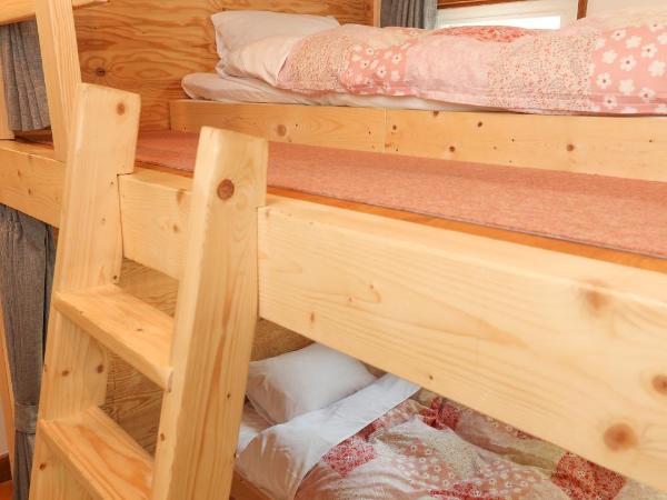SappoLodge : photo 3 de la chambre 2 bed in 4-bed female dormitory room