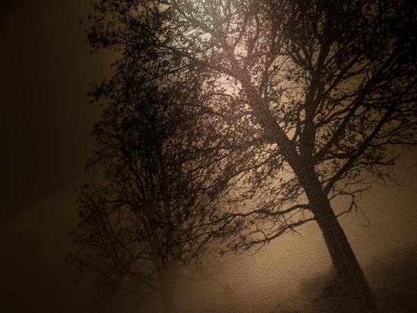 The CALM Hotel Tokyo : photo 9 de la chambre economy double room + late check in at 22:00 / check out at 10:00