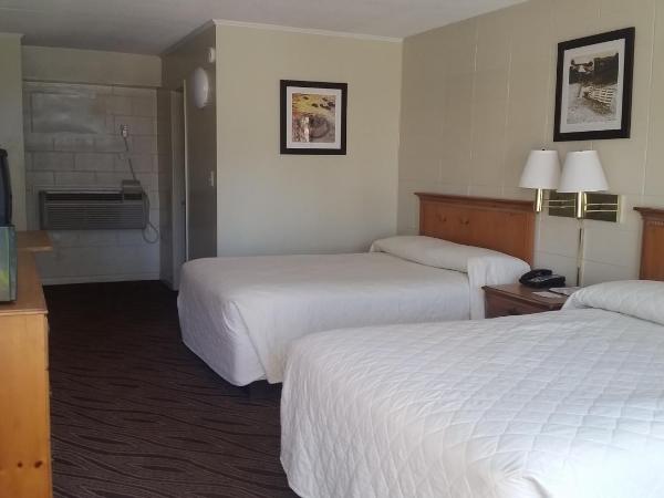 Admiral Motor Inn : photo 4 de la chambre chambre lit queen-size - vue sur piscine