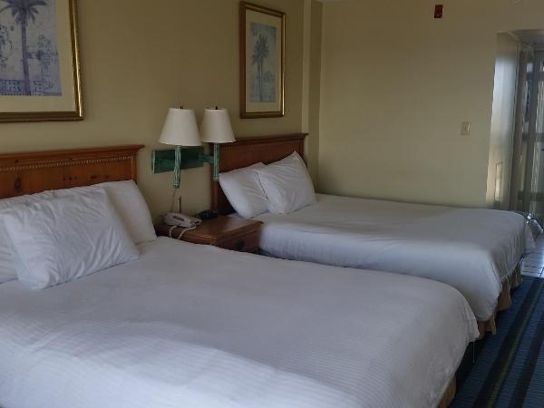 Windsurfer Hotel : photo 1 de la chambre chambre lit queen-size - vue sur mer