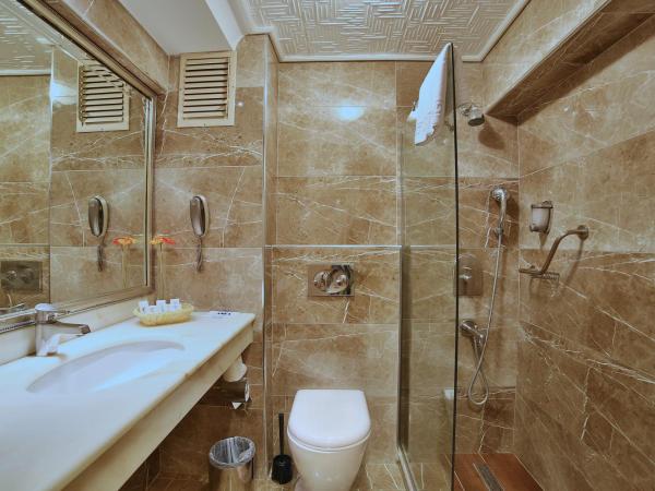 Grand Anka Hotel : photo 2 de la chambre chambre simple