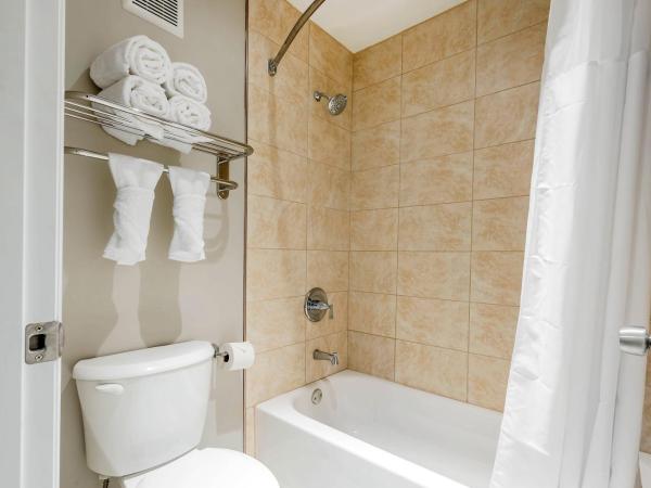 Quality Inn & Suites Kissimmee by The Lake : photo 1 de la chambre chambre standard avec 2 lits doubles-non-fumeurs