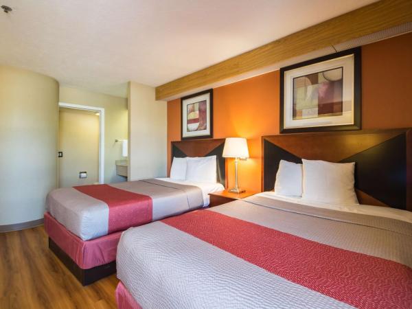 Motel 6-Indianapolis, IN - Airport : photo 3 de la chambre chambre quadruple - non-fumeurs