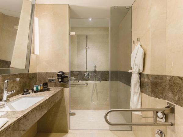 Wyndham Grand Istanbul Europe : photo 3 de la chambre chambre lit queen-size accessible aux personnes à mobilité réduite - non-fumeurs