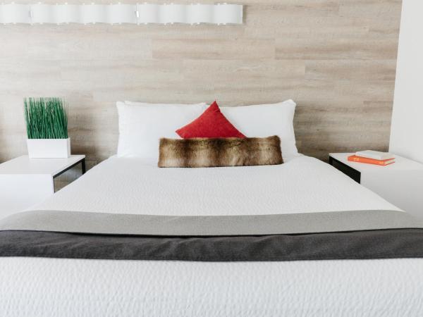 Elk + Avenue Hotel : photo 2 de la chambre chambre standard avec 2 lits queen-size