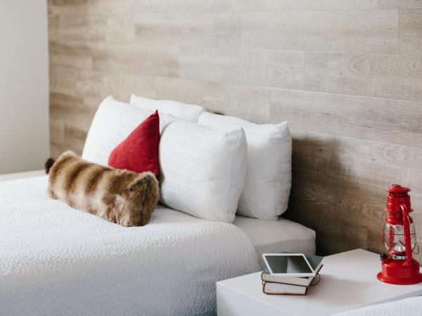 Elk + Avenue Hotel : photo 2 de la chambre chambre lit king-size standard