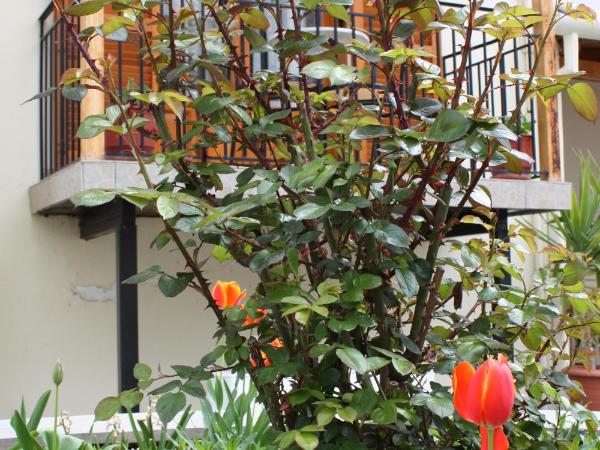 Domus Inn : photo 10 de la chambre chambre simple