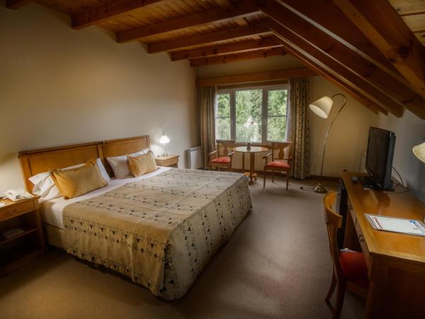 Hotel Kosten Aike : photo 2 de la chambre chambre double ou lits jumeaux supérieure