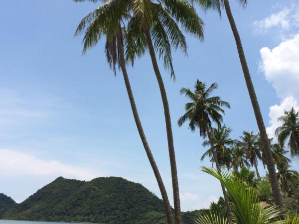 Elephant & Castle : photo 5 de la chambre bungalow - vue sur jardin
