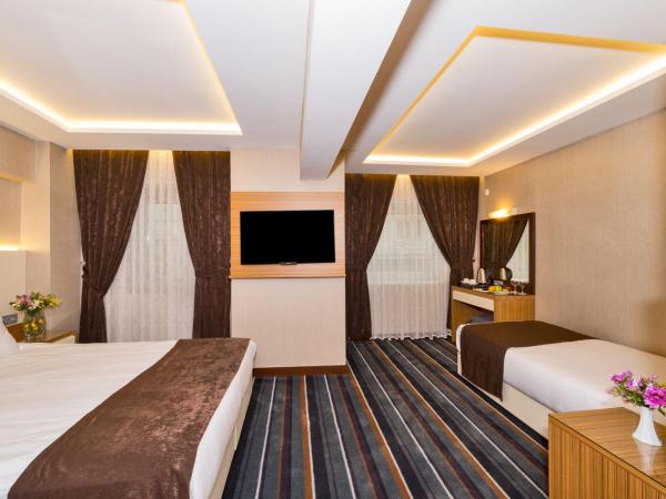 Bergama Hotel : photo 8 de la chambre chambre triple