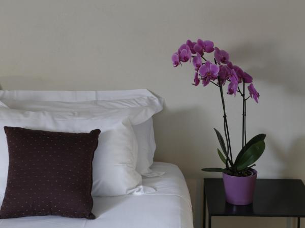 Residenza Dell' Opera : photo 8 de la chambre chambre double ou lits jumeaux