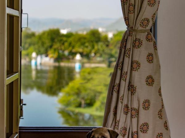 Zostel Udaipur : photo 2 de la chambre lit dans dortoir mixte de luxe de 4 lits