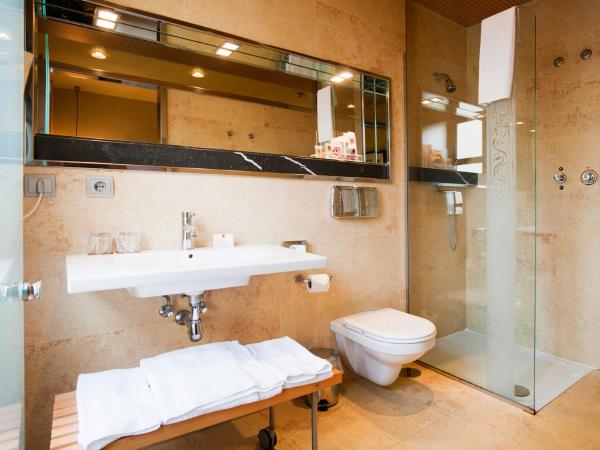 Hotel Fruela : photo 10 de la chambre chambre double ou lits jumeaux avec accès spa