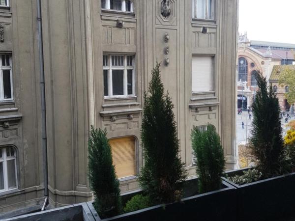 Butterfly Home Danube : photo 5 de la chambre chambre double ou lits jumeaux Économique