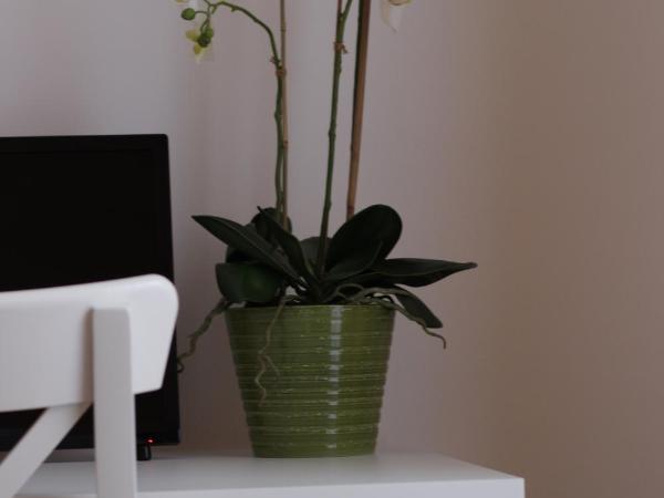 B&B Gallidoro : photo 5 de la chambre chambre double avec salle de bains privative extérieure