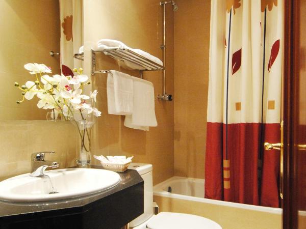 Hostal Orleans : photo 8 de la chambre chambre double ou lits jumeaux avec salle de bains privative