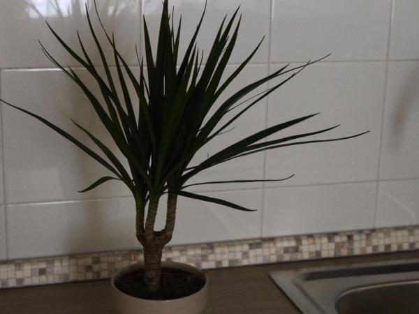 B&B La Torretta Chiaia : photo 6 de la chambre chambre familiale avec balcon