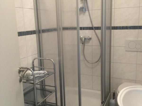 Villa Marie Mannheim : photo 2 de la chambre appartement - rez-de-chaussée (4)