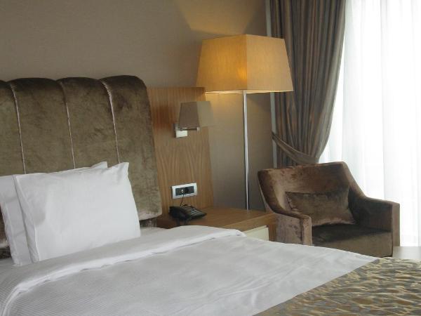 Volley Hotel Istanbul : photo 4 de la chambre chambre double ou lits jumeaux supérieure avec vue sur ville