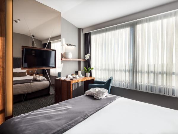 Volley Hotel Istanbul : photo 4 de la chambre chambre deluxe double ou lits jumeaux