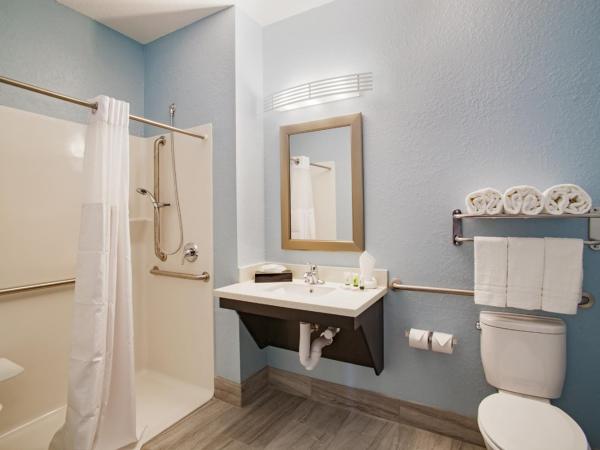 Iris Garden Inn : photo 1 de la chambre chambre lit king-size - accessible aux personnes à mobilité réduite