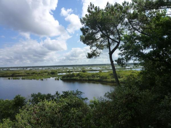 Chez Augustin : photo 3 de la chambre chambre double