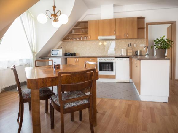 Jacob Brno : photo 5 de la chambre appartement avec terrasse - vue sur ville