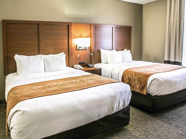 Comfort Suites Houston NW - Vintage Park : photo 2 de la chambre suite lit queen-size avec canapé-lit - non-fumeurs