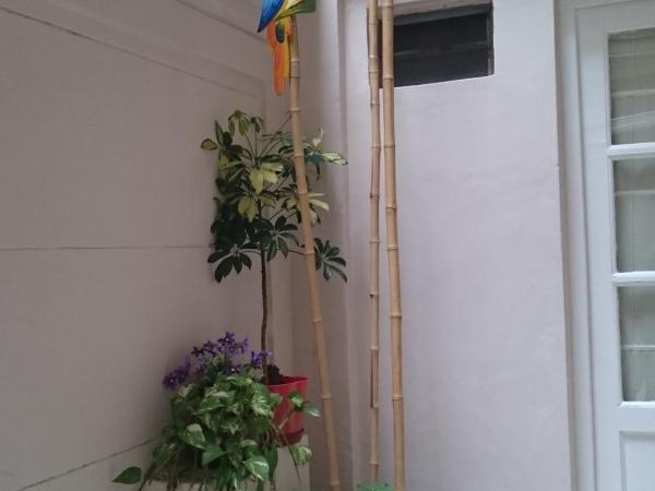 Hagoth Hostel : photo 5 de la chambre chambre double avec salle de bains privative