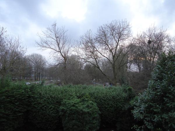 B&B Sloterpark : photo 4 de la chambre chambre double ou lits jumeaux deluxe – vue sur jardin