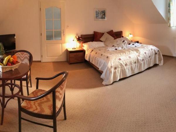 Spa & Wellness Hotel Harmonie : photo 3 de la chambre chambre quadruple - vue sur jardin